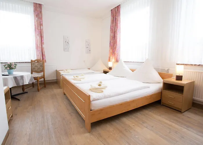 Am Stadtpark Otel 3*